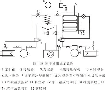 冻干机组成示意图