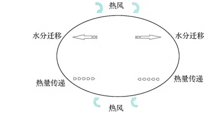 热风干燥传热传质示意图